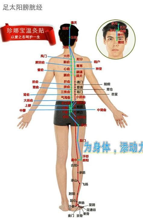 中庭在哪|中庭的准确位置图片及功效